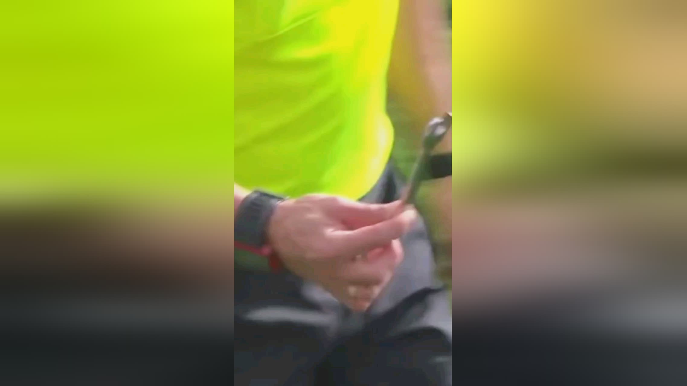 盟尤