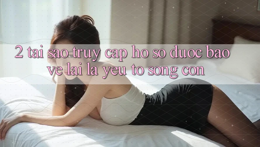 2. Tại Sao “Truy cập hồ sơ Được bảo vệ” Lại Là Yếu Tố Sống Còn? 2. Tại Sao “Truy cập hồ sơ Được bảo vệ” Lại Là Yếu Tố Sống Còn?
