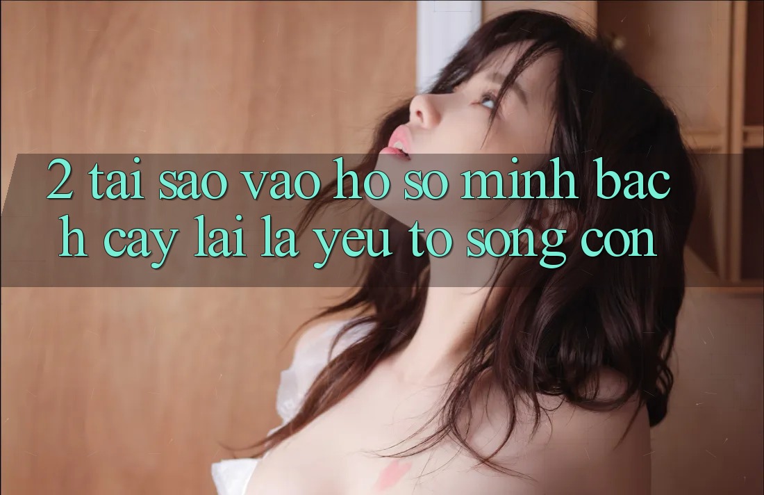 2. Tại Sao “Vào hồ sơ Minh bạch cậy” Lại Là Yếu Tố Sống Còn?