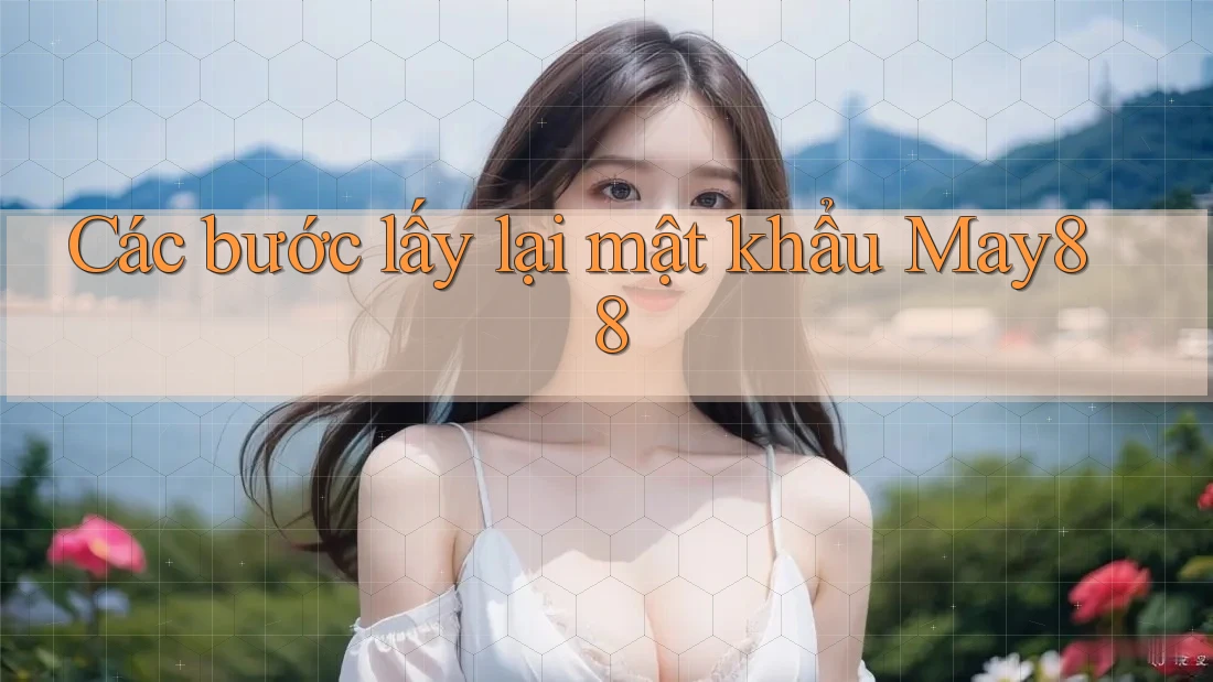Các bước lấy lại mật khẩu May88