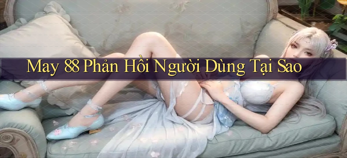 may 88 phản hồi người dùng tại sao