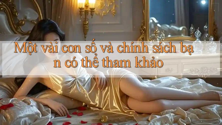Một vài con số và chính sách bạn có thể tham khảo