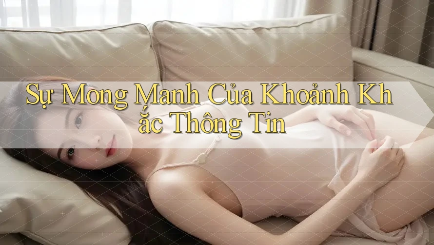 Sự Mong Manh Của Khoảnh Khắc Thông Tin