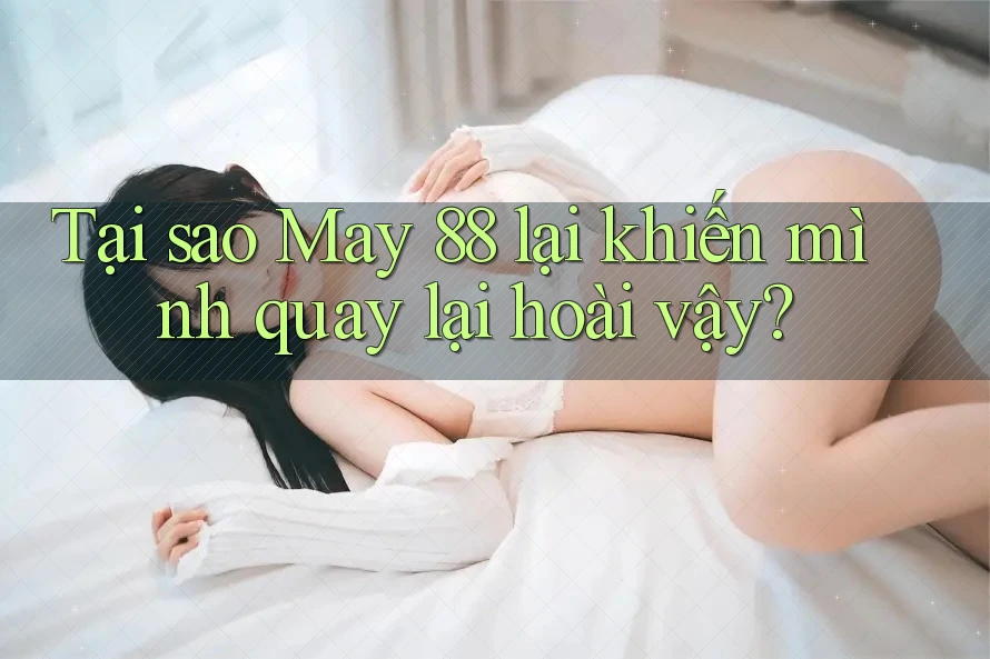 Tại sao May 88 lại khiến mình quay lại hoài vậy?